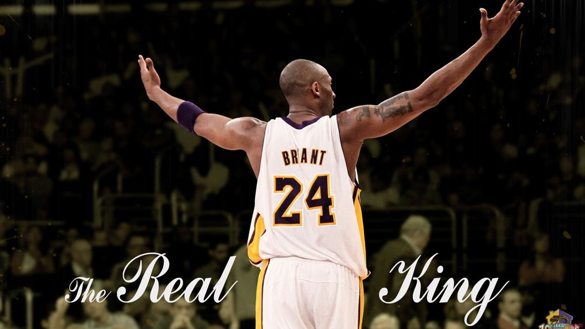 羽生结弦宣布退役转战职业花滑,传奇谢幕,新篇开启