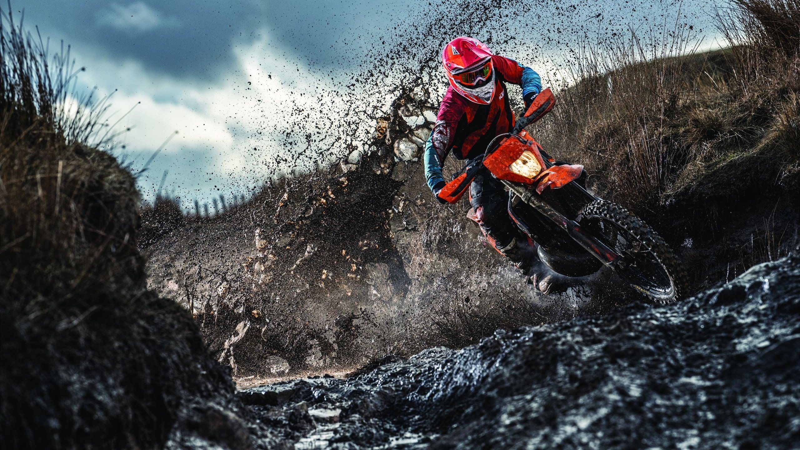 中国速度滑冰队再创佳绩 新星闪耀国际赛场